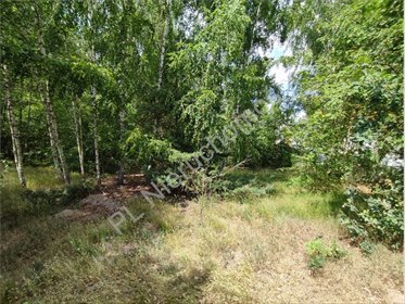 Na sprzedaż malownicza działka 2757 m² w Kajetanach działka Kajetany