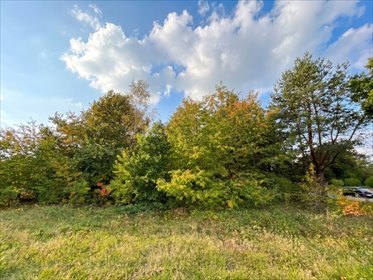 Działka budowlana 3000 m² | Brogi k. Ldzania | WZ | Dolina Grabi działka Brogi