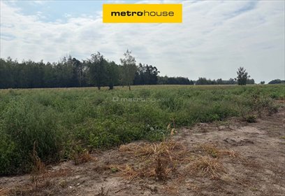 Zapraszam do zakupu działki 1252 m² w Budy Trzcińskie działka Budy Trzcińskie