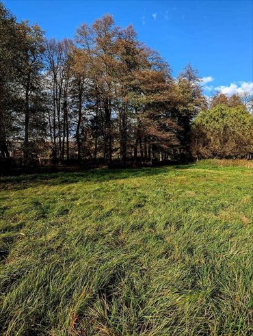 działka na sprzedaż 1337m2 działka Stary Wielisław