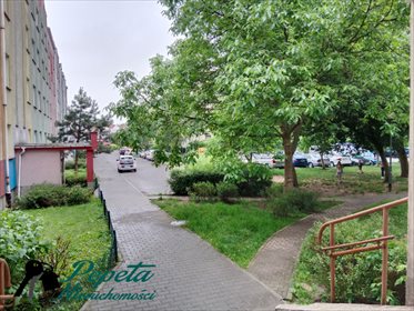 Kawalerka na sprzedaż Poznań, Grunwald, Międzyborska 34m2 Foto 1