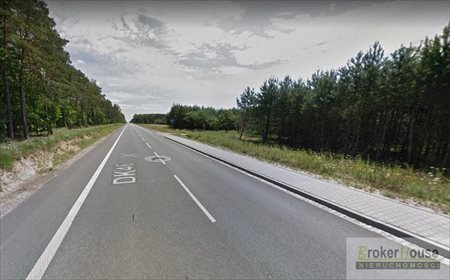 Działka inwestycyjna na sprzedaż Dąbrowica 46 300m2 Foto 3