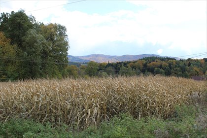 działka na sprzedaż 1788m2 działka Kierlikówka