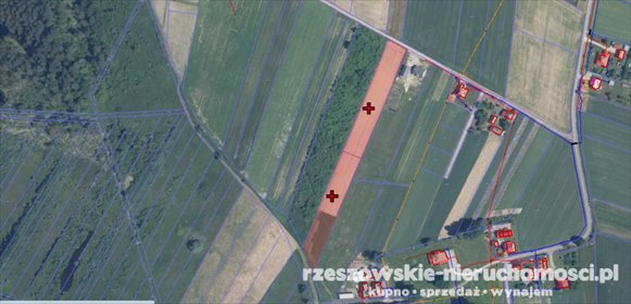 działka na sprzedaż 4000m2 działka Bachórzec