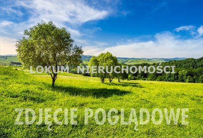 Na sprzedaż działka inwestycyjna 22 225 m² w Cieszynie działka Cieszyn, Frysztacka