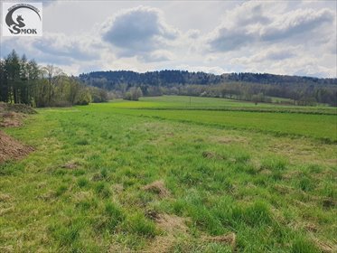 działka na sprzedaż 1600m2 działka Wola Radziszowska