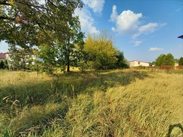 działka na sprzedaż 3200m2 działka Borzęcin Mały, Warszawska