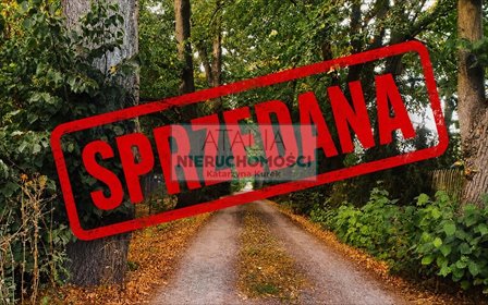 Do sprzedania działka 1580 m² z mediami w Adamowiznie działka Adamowizna