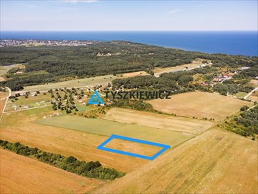 działka na sprzedaż 4387m2 działka Chłapowo, Władysławowska