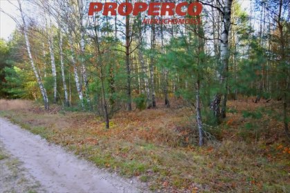 działka na sprzedaż 505m2 działka Pągowiec