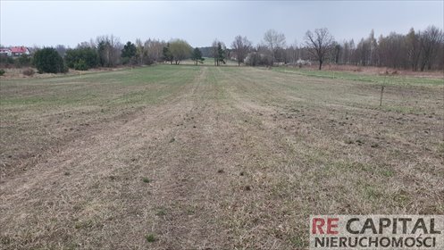 działka na sprzedaż 1500m2 działka Powązki