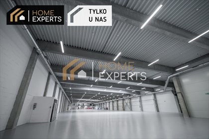 Polecam nowoczesną halę magazynową 1000 m² z dokami i monitoringiem lokal użytkowy Nowy Dwór Gdański, Żuławska