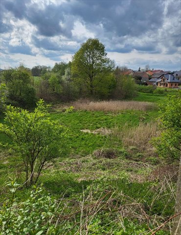 działka na sprzedaż 5000m2 działka Kaszów