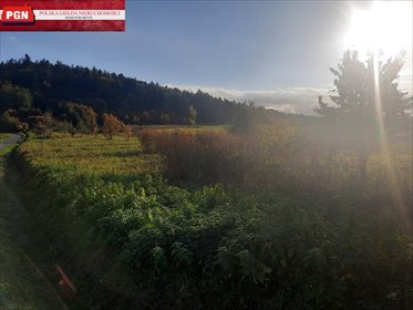 działka na sprzedaż 1456m2 działka Stary Wielisław