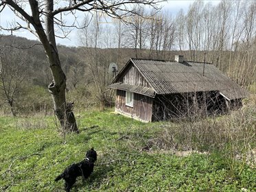 Na sprzedaż malownicza działka 71 arów w Kielnarowej działka Kielnarowa