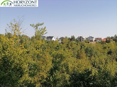 Działka 6260 m² pod zabudowę w Sulęczynie, blisko jezior działka Sulęczyno
