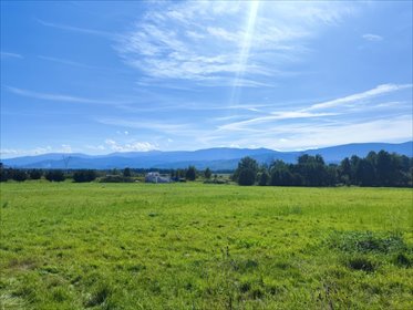 działka na sprzedaż 1000m2 działka Wojcieszyce