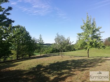 Działka rekreacyjna na sprzedaż Radzięcin 2 328m2 Foto 5
