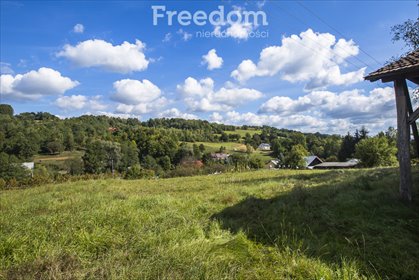 działka na sprzedaż 4100m2 działka Cieszyna