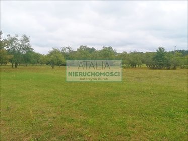 Działka 1400 m² pod dom, media, blisko Warszawy - zapraszam działka Radziejowice