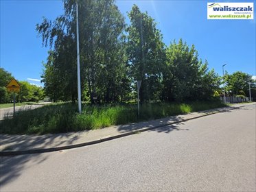 działka na sprzedaż 1165m2 działka Piotrków Trybunalski, Czesława Miłosza