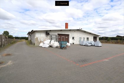 magazyn na wynajem 474m2 magazyn Rogoźno