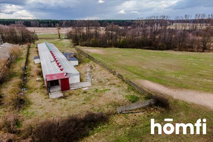 magazyn na sprzedaż 6530m2 magazyn Wieliszew, Myśliwska