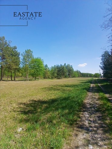 Działka 1200 m² w sercu Koryt, MPZP, las, cisza działka Koryta, Lipowa