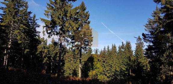 działka na sprzedaż 7400m2 działka Sobótka