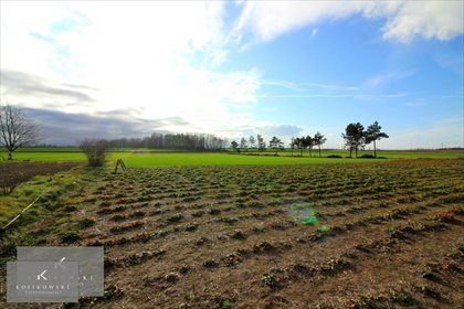 Działka budowlana na sprzedaż Kamienna 1 105m2 Foto 4