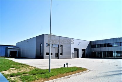 Magazyn na wynajem Poznań, Podolany, Podolany 1 400m2 Foto 4