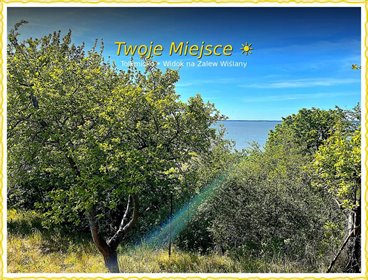 działka na sprzedaż 2895m2 działka Tolkmicko