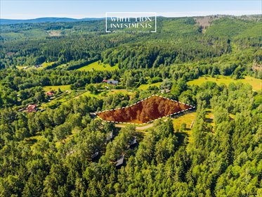 Działka 6064 m² w Studziennie (sudecki klimat, inwestycja) działka Studzienno