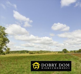 działka na sprzedaż 4400m2 działka Pogorzelce