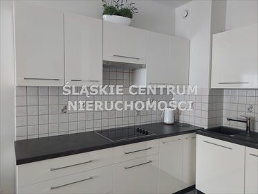 mieszkanie na wynajem 36m2 mieszkanie Katowice, Wełnowiec, Jesionowa