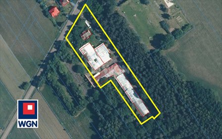 Nieruchomość przemysłowa 2670 m² z halami i wyposażeniem lokal użytkowy Bór Zajaciński, Bór Zajaciński