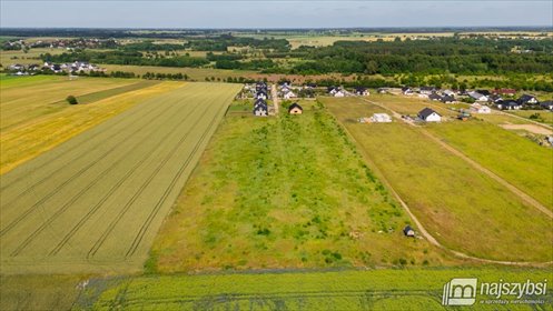 Sprzedam działki rolne 1000 m² w Żarowie z dostępem do prądu działka Żarowo, Koralowa