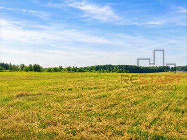 Działka rolna z możliwością zabudowy zagrodowej (2 238 m²) działka Przypki