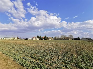 działka na sprzedaż 766m2 działka Studzian