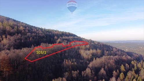 działka na sprzedaż 14544m2 działka Karpacz, Górna