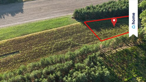 Działka 3000 m² z warunkami zabudowy - polecam działka Siedliska