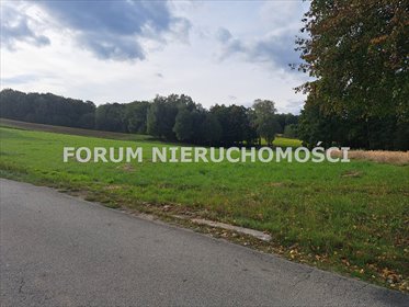 działka na sprzedaż 1000m2 działka Stara Wieś