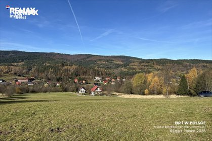 Przepiękna działka 23 200 m² z lasem i widokami działka Las, Bacówka