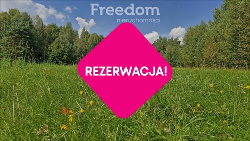 działka na sprzedaż 45001m2 działka Dąbrówka Wielka