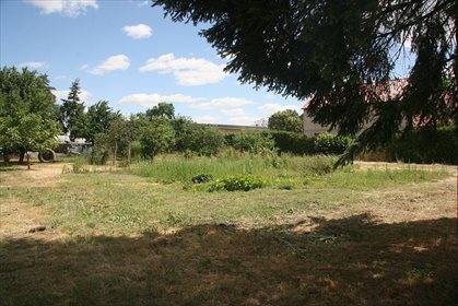 Magazyn na sprzedaż Grobia 350m2 Foto 2