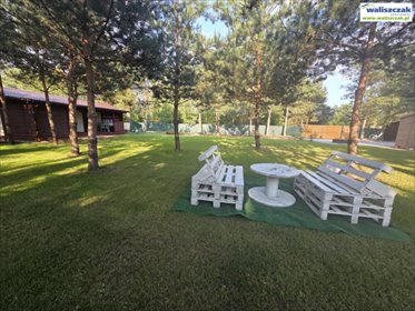 dom na wynajem 50m2 dom Barkowice