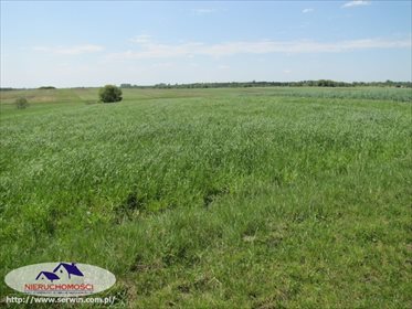 Działka rolna na sprzedaż Piasek Mały 17 600m2 Foto 2