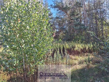 działka na sprzedaż 3047m2 działka Chynów