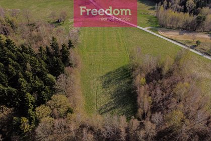 Działka inna na sprzedaż Meszna Opacka 9 075m2 Foto 4