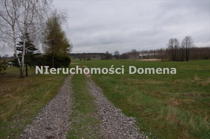 działka na sprzedaż 2800m2 działka Olszowa